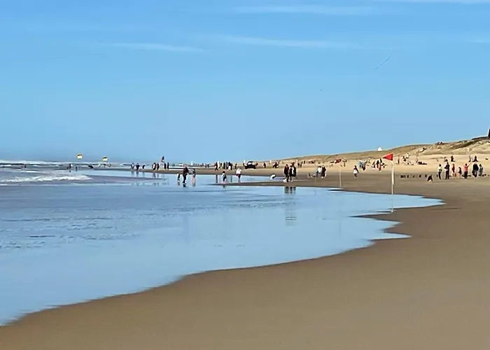 Semesterbostad Sicard-8 By Interhome Mimizan-Plage